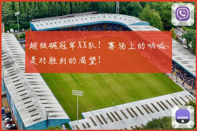 超级碗冠军XX队！赛场上的呐喊，是对胜利的渴望！