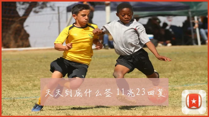 天天到底什么签 11亮23回复