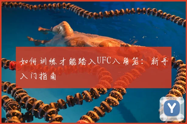 如何训练才能踏入UFC八角笼:新手入门指南